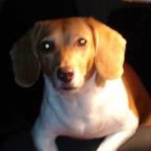 Meet your Posher, Kathleen